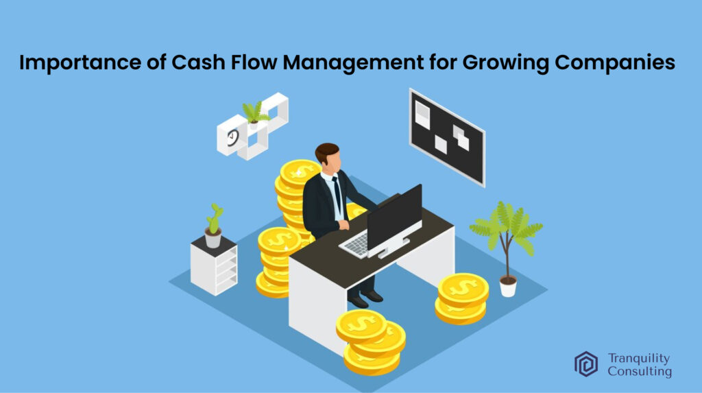 Cash Flow management